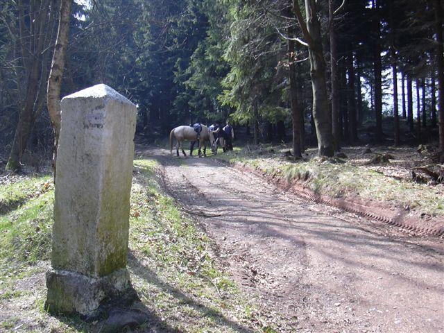 Bílá u Bílého 2007