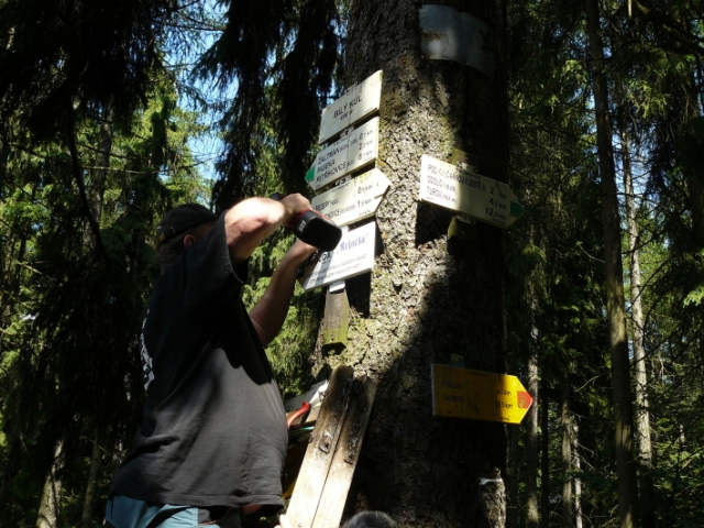 Bílení Bílého kůlu